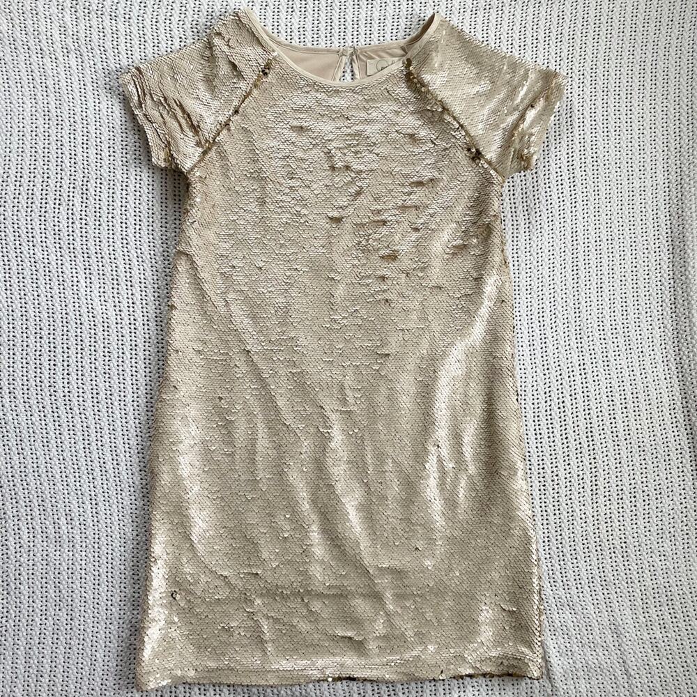 Peek Flip Sequin Dress